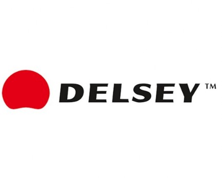 maletas Delsey